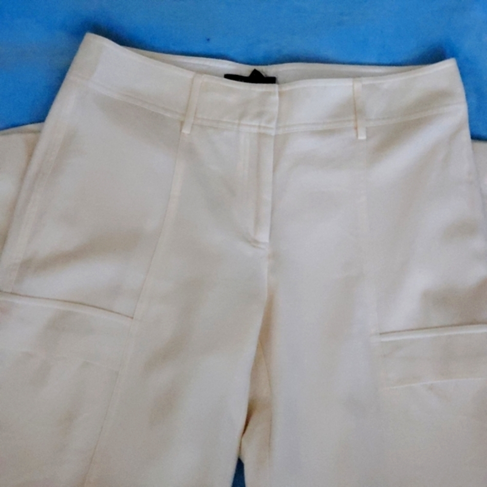 Express dressy CARGO pants wool blend SZ. 11/12